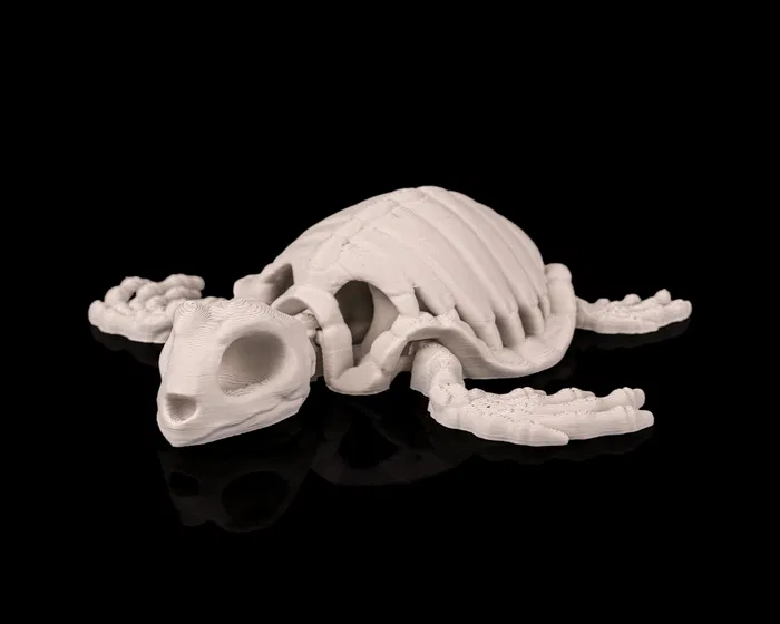 Tartaruga Articulada 2