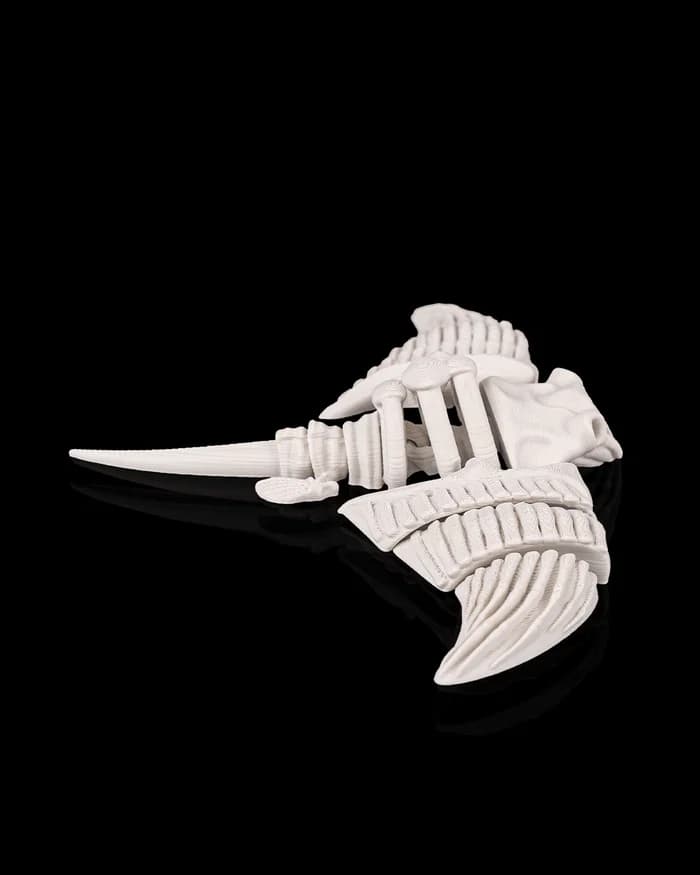 Raia Articulada 4