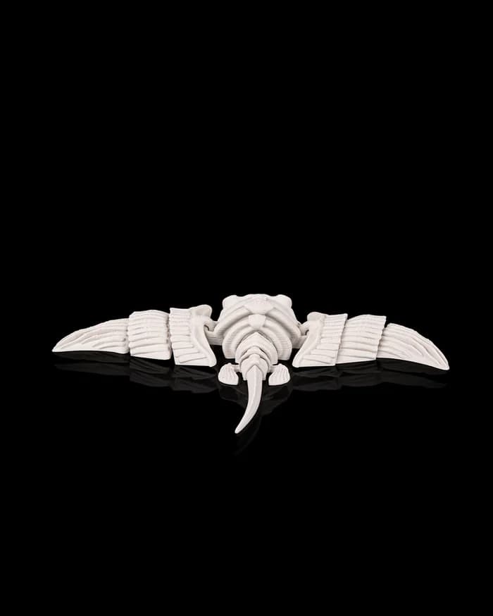 Raia Articulada 5